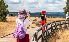 一个人视频日本在线观看